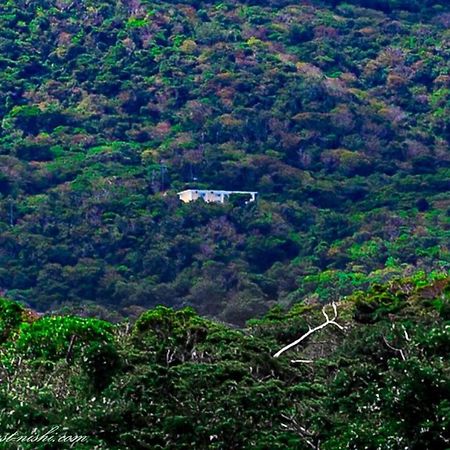 Forest West 西 今帰仁村 エクステリア 写真