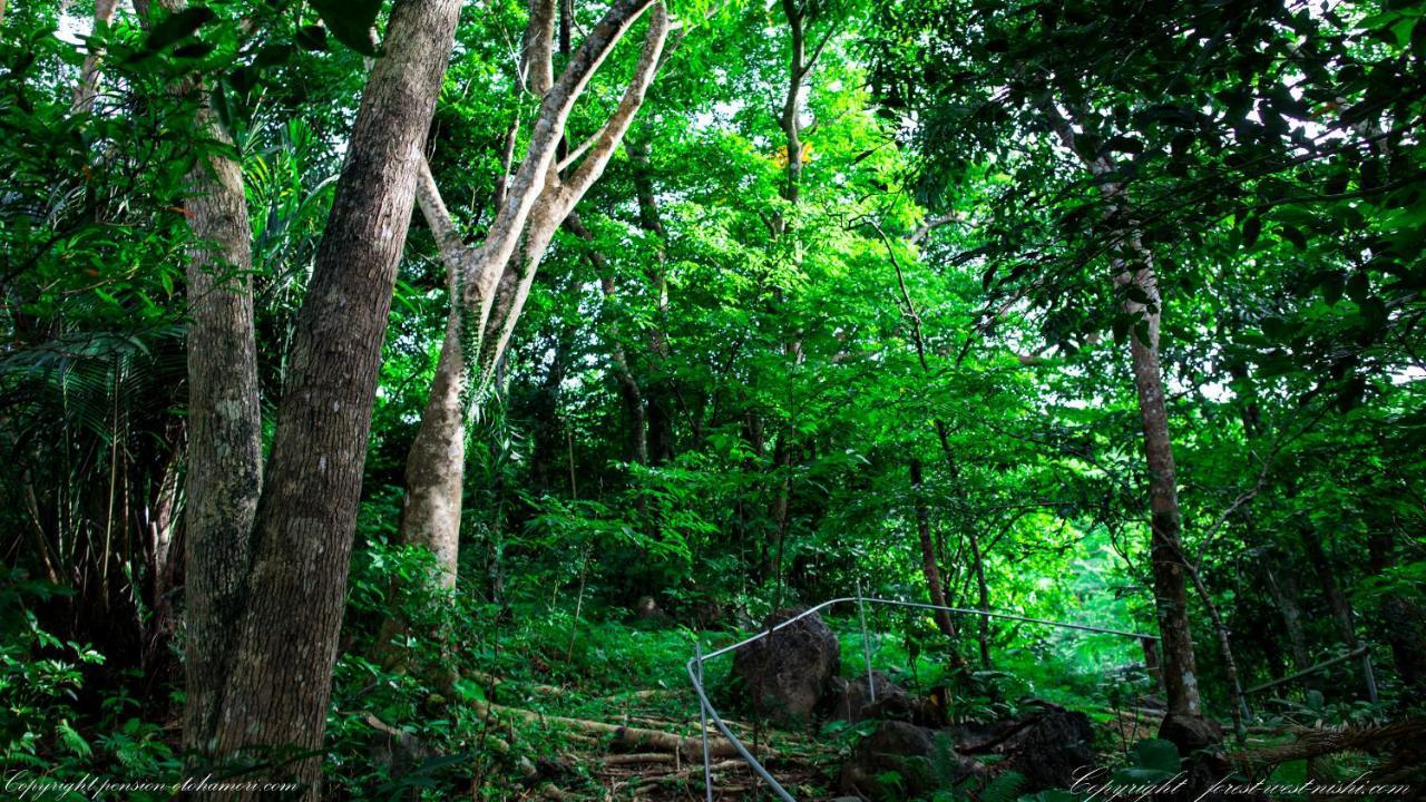 Forest West 西 今帰仁村 エクステリア 写真