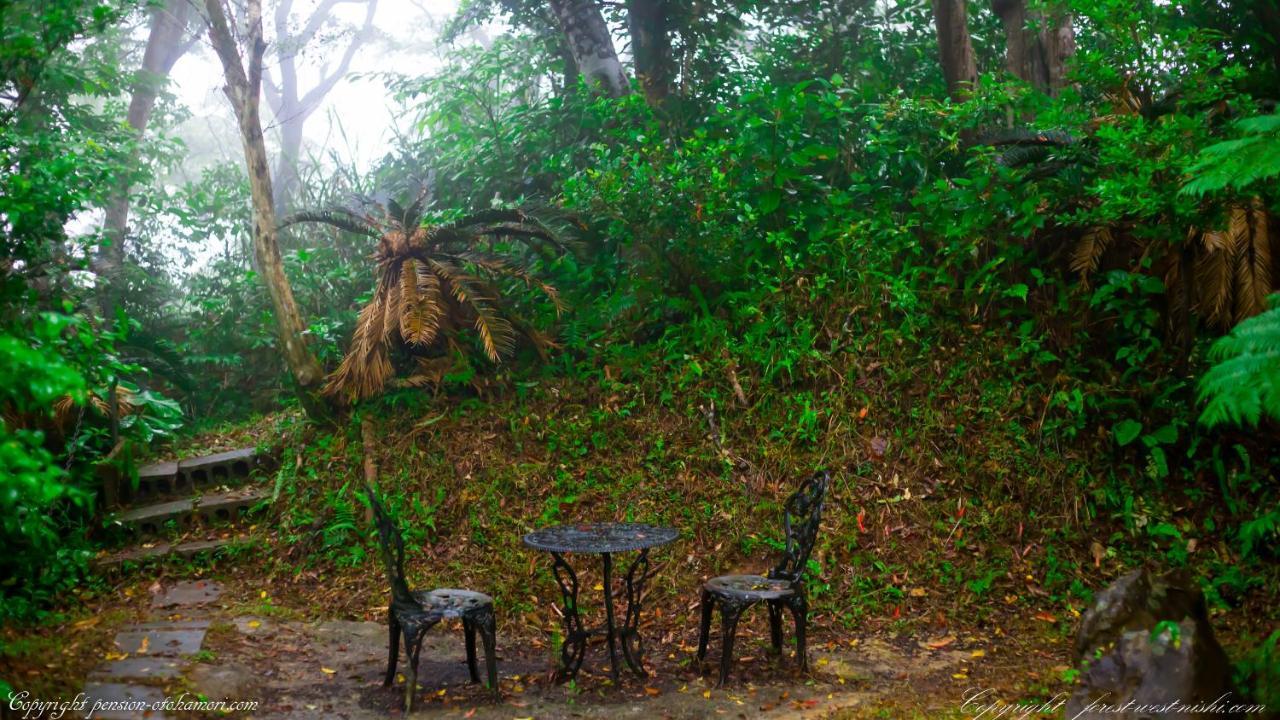 Forest West 西 今帰仁村 エクステリア 写真