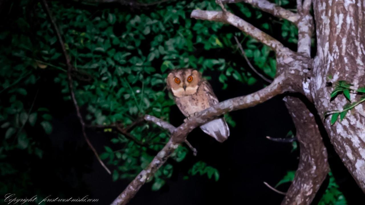 Forest West 西 今帰仁村 エクステリア 写真